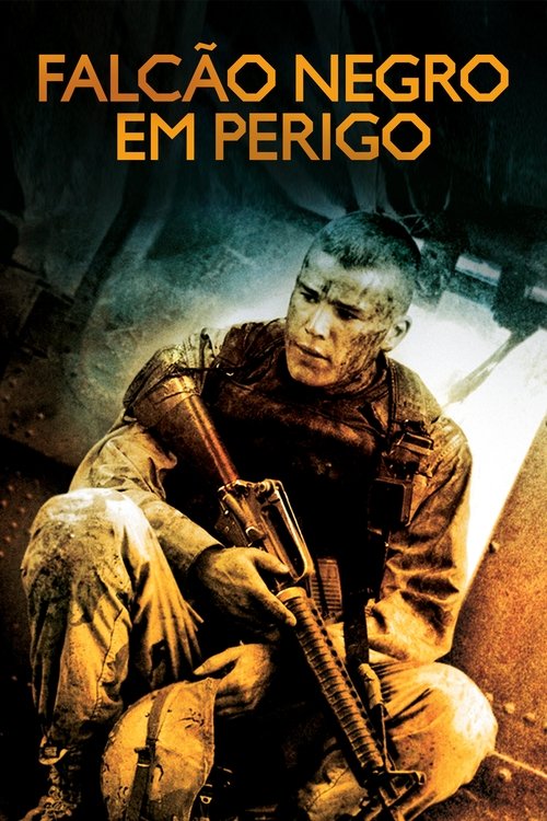 Pôster de Falcão Negro em Perigo (2001)